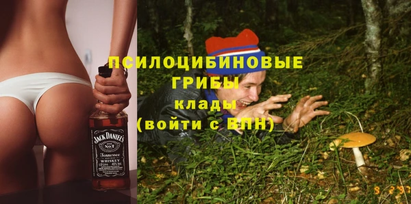 мет Абаза